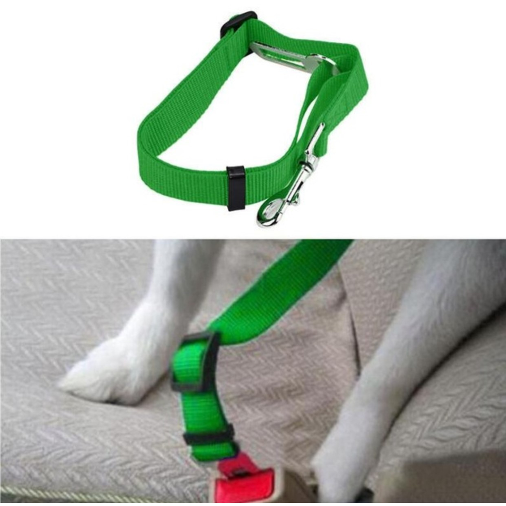 Pet Seat Belt