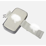 Sports Arm Band