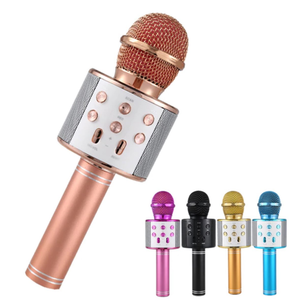 Karaoke Microphone