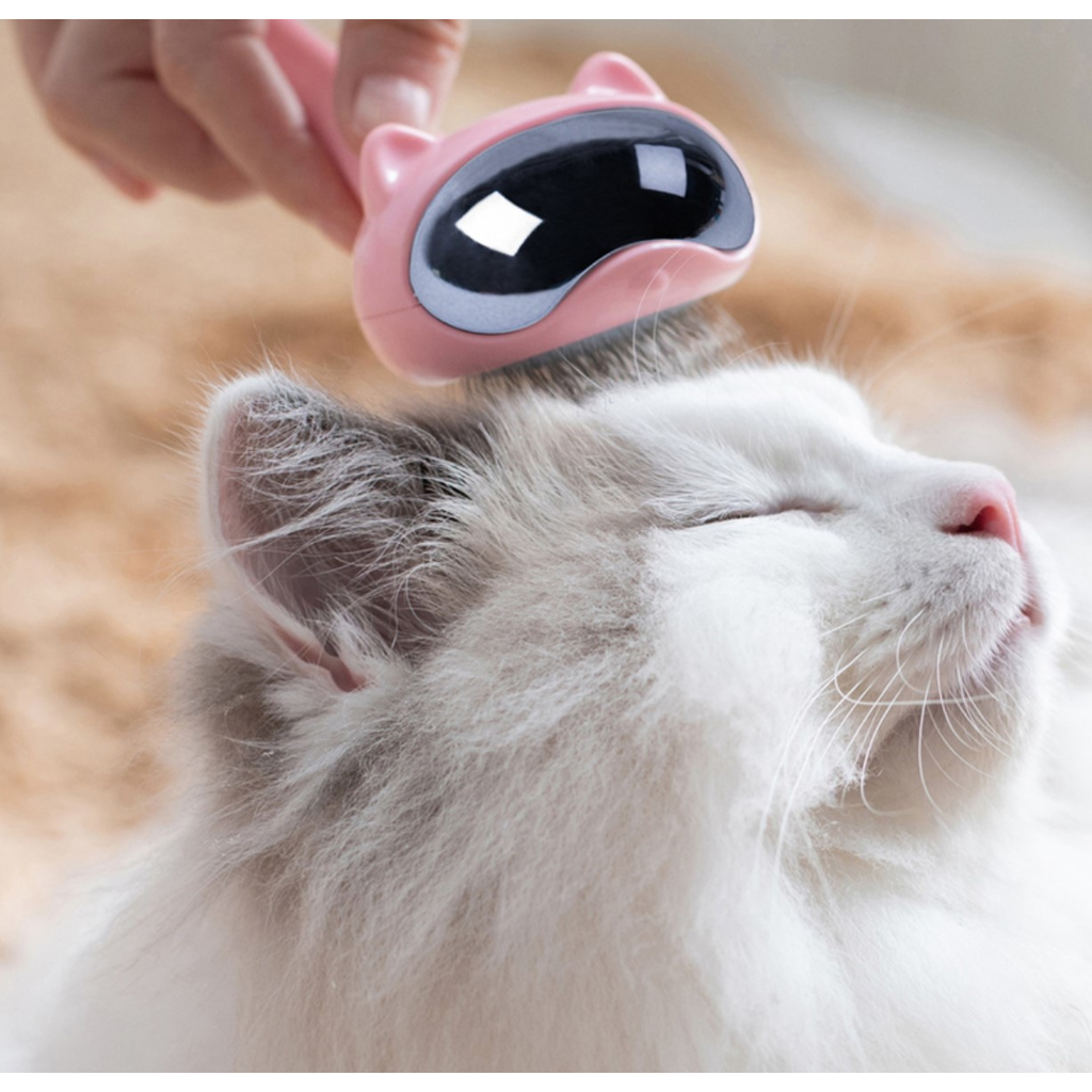 Cat shaped Cat Hair Removing Brush 