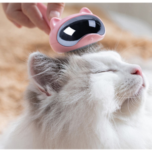 Cat shaped Cat Hair Removing Brush 