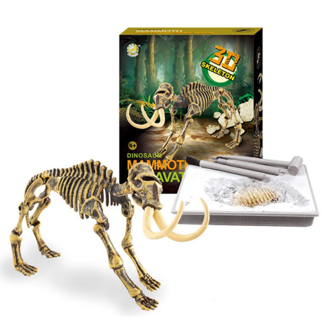 Dino Fossil Science Educational Toy