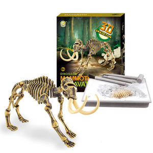 Dino Fossil Science Educational Toy