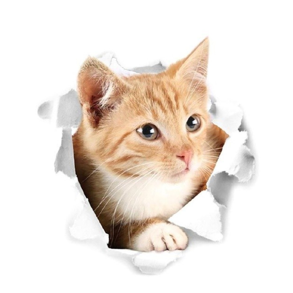 Cats 3D Sticker