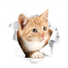 Cats 3D Sticker