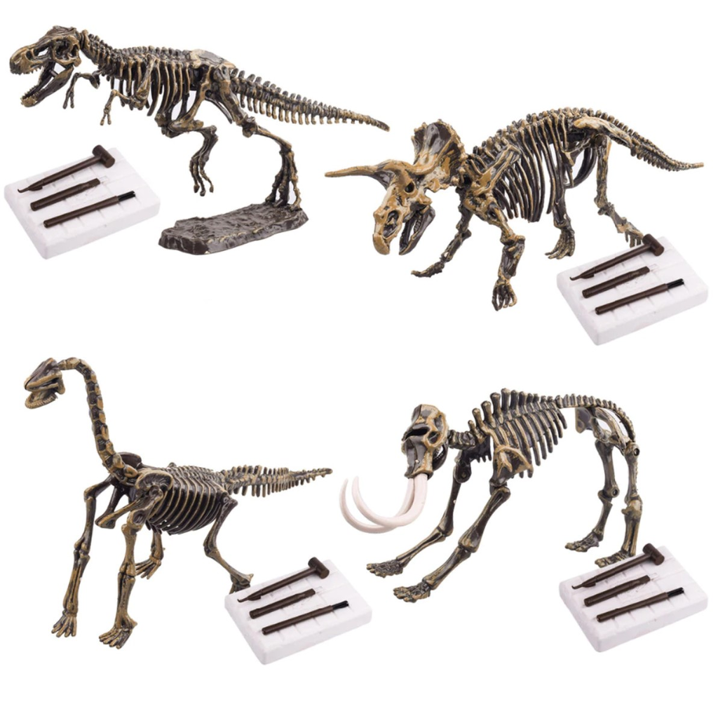 Dino Fossil Science Educational Toy