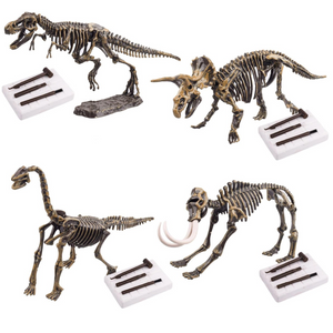 Dino Fossil Science Educational Toy