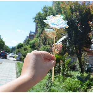 24K Foil Plated Rose