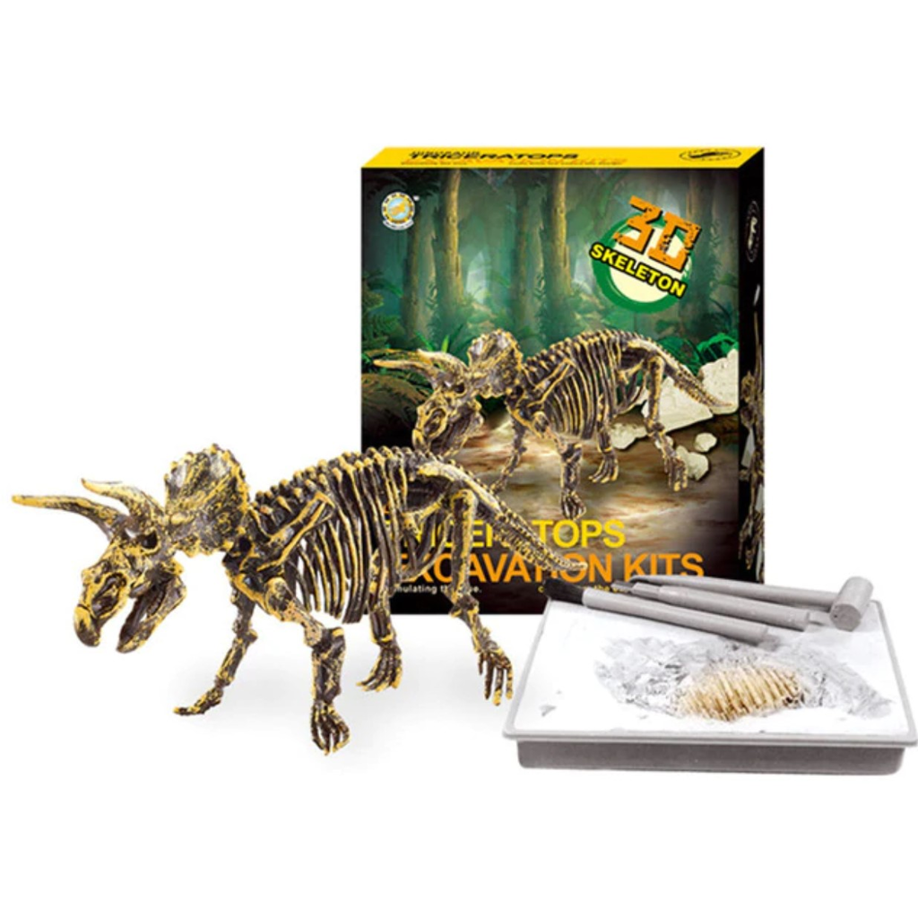 Dino Fossil Science Educational Toy