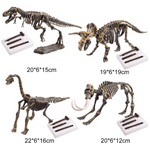 Dino Fossil Science Educational Toy