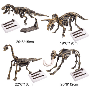 Dino Fossil Science Educational Toy