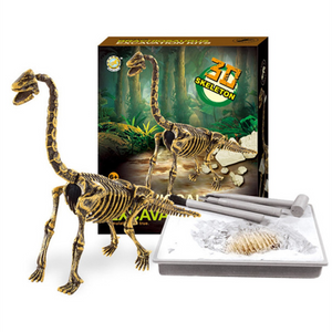 Dino Fossil Science Educational Toy