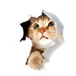 Cats 3D Sticker