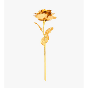 24K Forever Gold Rose