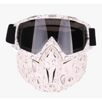 Winter Sports Snow Ski Mask
