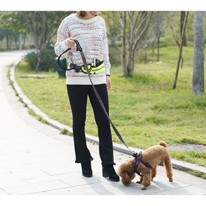 Handsfree Dog Walking Leash