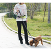 Handsfree Dog Walking Leash