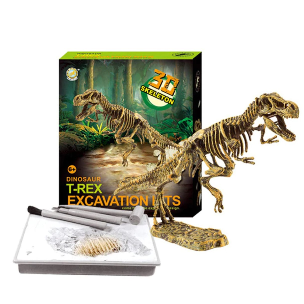 Dino Fossil Science Educational Toy