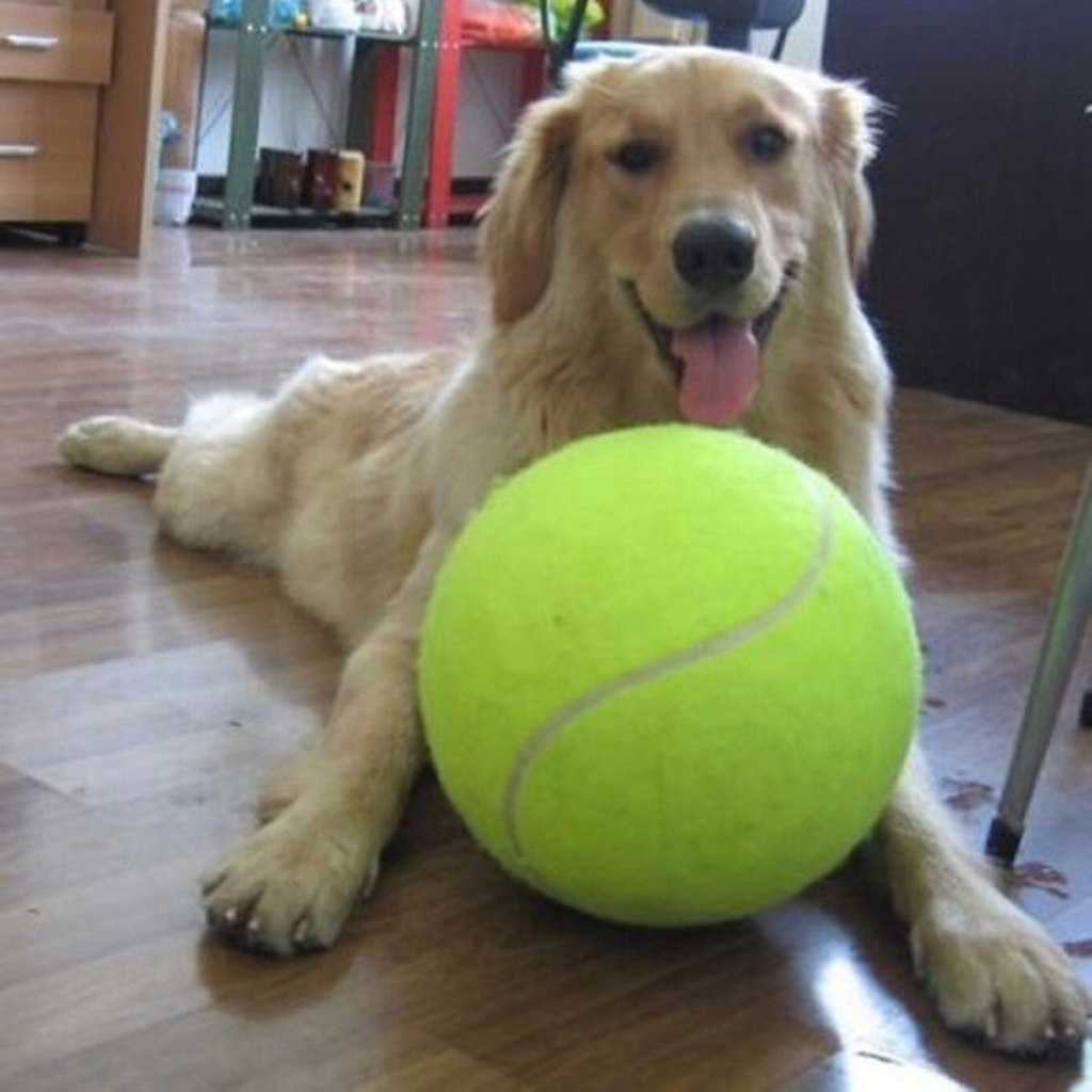 Giant Dog Tennis Ball