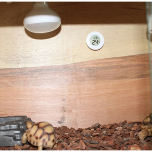 Mini Digital Thermometer/ Humidity Meter