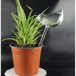 Self Plant Watering Device