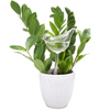 Self Plant Watering Device