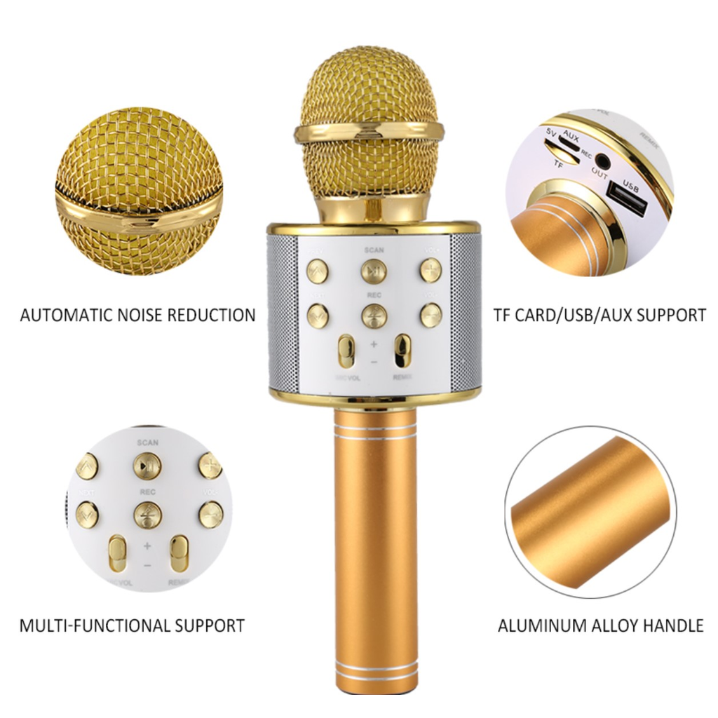 Karaoke Microphone