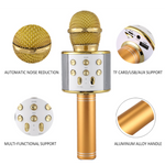 Karaoke Microphone